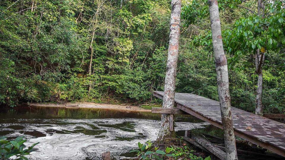 bridge crossing a waterfall in the amazon rainforest