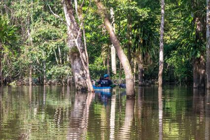 Kayaking in the flooded forest
