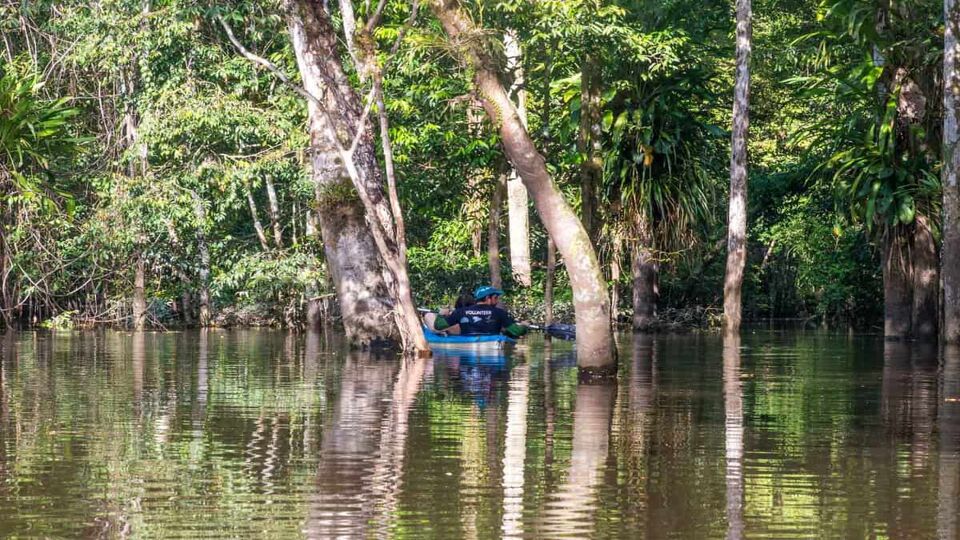 Kayaking between the treetops in the flooded jungle