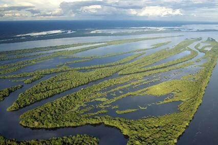 Aerial view of Anavilhanas National Park Islands, Rio Negro, Brazilian Amazon