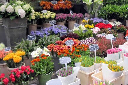 Close up of lots of flower stands at midday