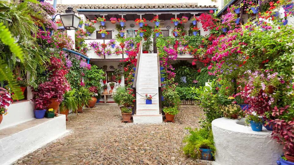 A courtyard decorated with flower pots and trailing flowers