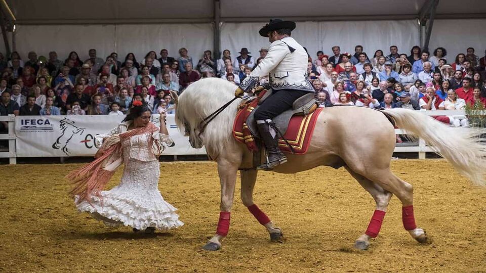 Two performers with a white horse perform for an audience