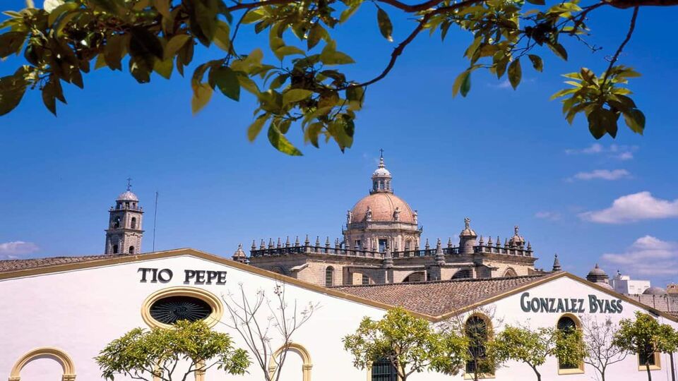 Tio Pepe Bodega with San Salvador Cathedral in the background