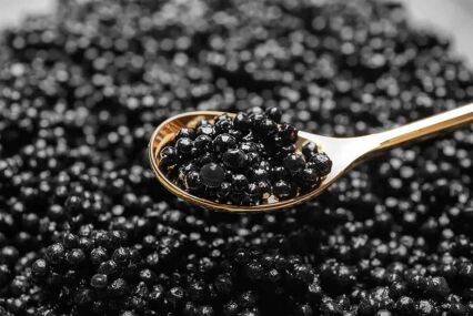 Caviar de Riofrio