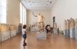 A visitor looks at a sculpture of Poseidon in the museum
