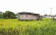 Wooden house in the middle of greenery