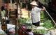 Person selling produce from his long tail boat on the canal