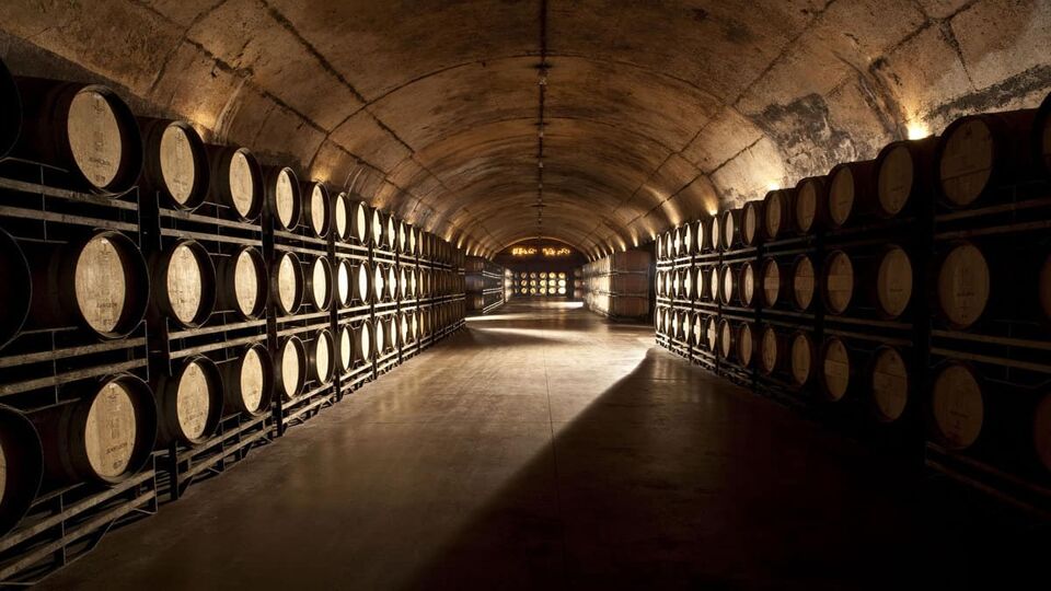 Underground vault filled with wine barrels