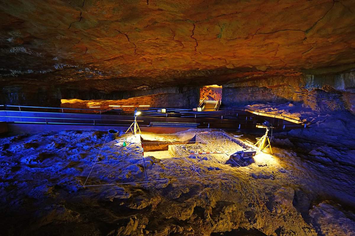 Cave Of Altamira Best Things To Do In Cantabria   Basque Altamira Caves Museum5 SH. 