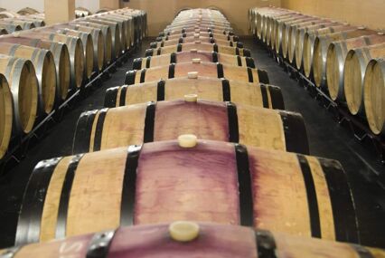 views over a long series of wine barrels