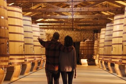 couple looking at wine vats
