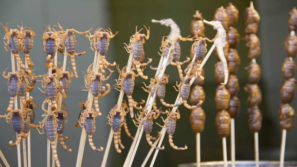 fried scorpions on sticks