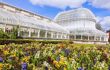 A row of flowers in front of a magnificent large white Victorian greenhouse