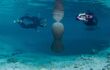 two snorkellers swim either side of a Gentle West Indian Manatees enjoying the warm waters of Three Sisters Spring in Crystal River, Florida as