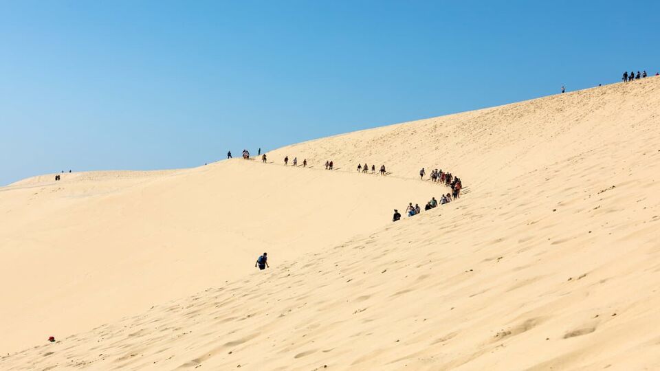 A line of people walks up the dune