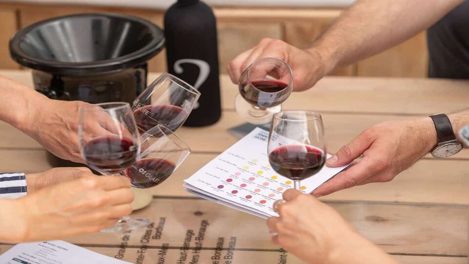 Group of friends toasting with red wine glasses