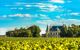 Flowering fields on a sunny day with a castle-like building in the backgound