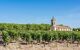 Wine fields in front of a building in summer