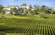 View across a vineyard to a small village behind