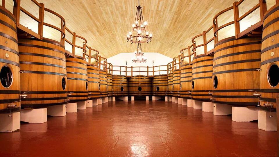 Room in a winery with large wooden barrels on either side