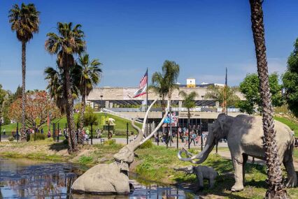 Life-size mammoth sculptures recreate Los Angeles prehistoric days at La Brea Tar Pits archaeological site in the Mid-Wilshire district of Los Angeles California.