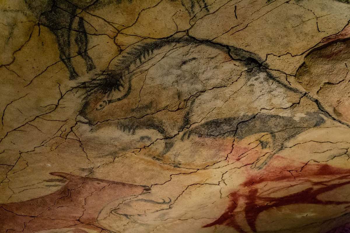 Cave Of Altamira | Best Things To Do In Cantabria