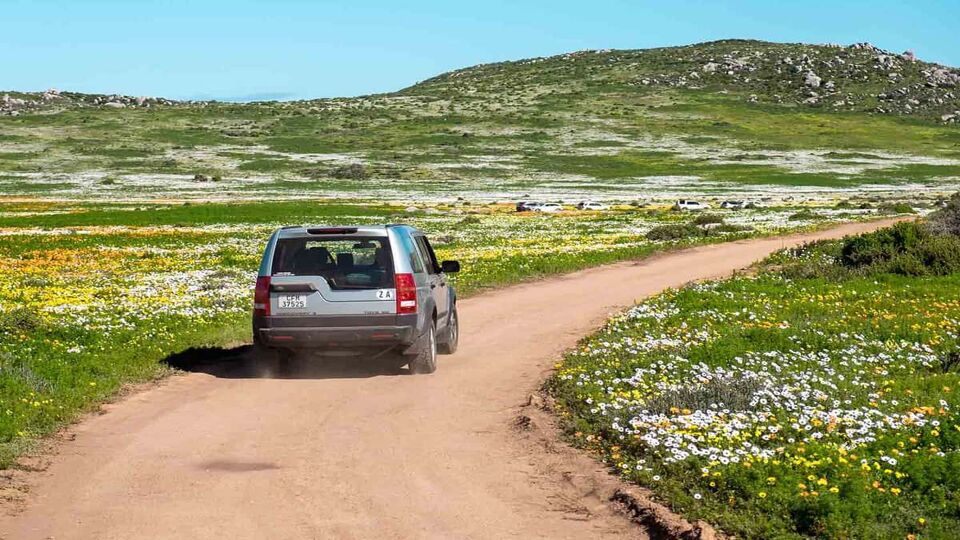 A car driving on a pathway through a meadow