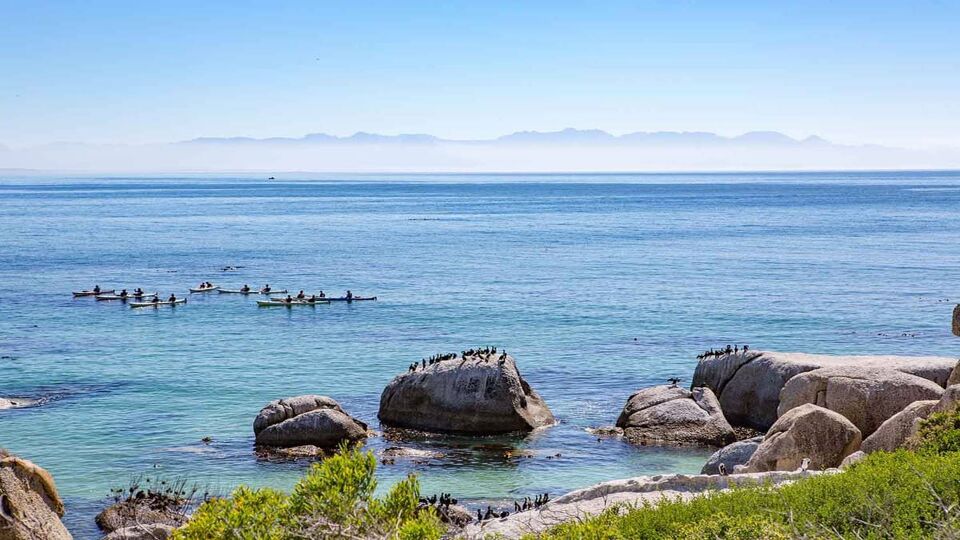 A group of tourists on kayaks viewing penguins at Bolder's Beach near Simon's Town in Cape Town, South Africa