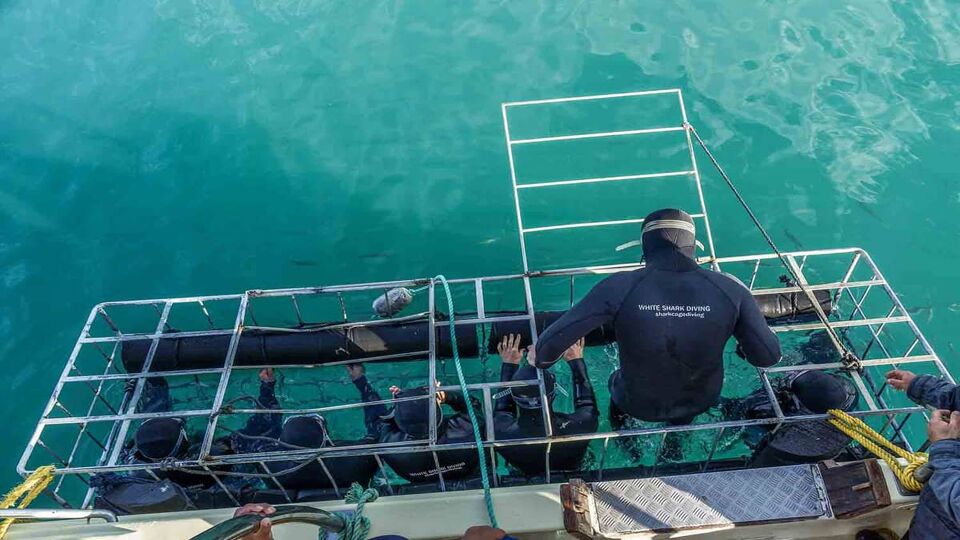 Diver getting into an empty steel cage off the back of the boat