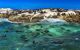 Fur seals swimming in the water