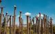 A wooden fence in front of a field.