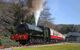 Side view of the black steam locomotive