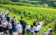 Tour guide explaining about wine to tour group on the Camel Valley Vineyard