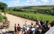 Tour guide explaining about wine to tour group on the Camel Valley Vineyard