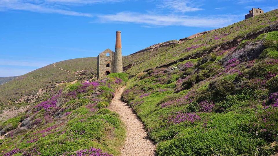 The cliff path to the remains of the Wheal Coates tin mine at Chapel Porth, near St Agnes, Cornwall, with the heather in bloom.