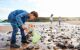 Children With Pet Dog Looking In Rockpools On Winter Beach Vacation