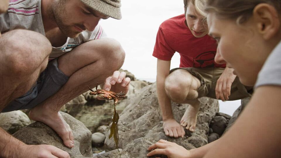 Group of kids surround a tour guide showing them a crab