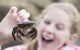 Young Girl Holding Crab Found In Rockpool On Beach