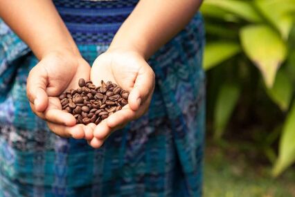 Coffee beans cupped in a woman's hand