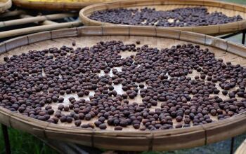 close up of coffee beans on a wooden circular board