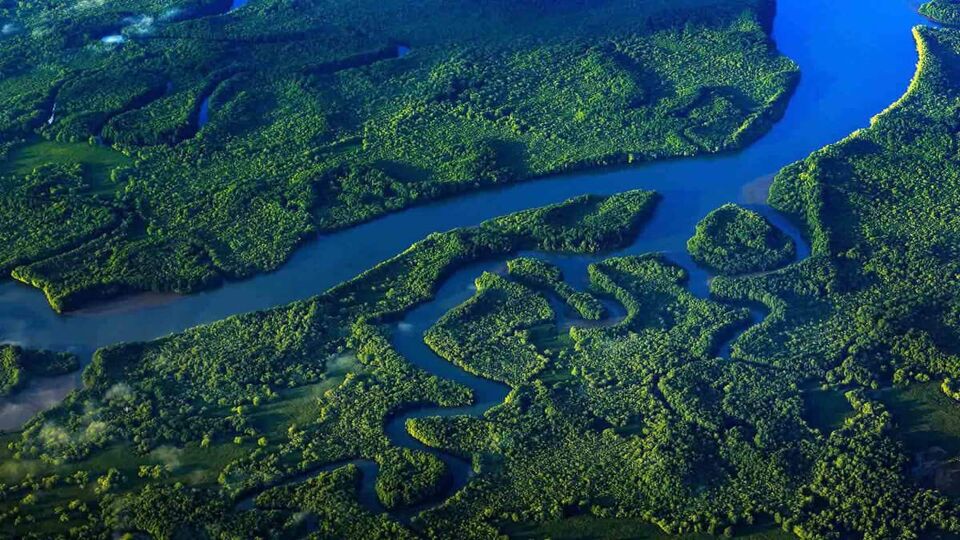 arial view of the water surrounding Corcovado National Park