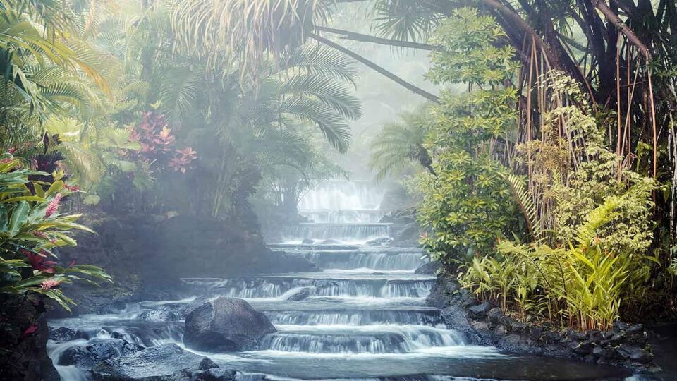 Steaming river flowing trhough rainforest