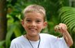 Boy holding a giant tree frog in Costa Rica rainforest, Gladiator Treefrog, Hypsiboas rosenbergi