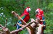 pair of red parrot birds sitting on the perch