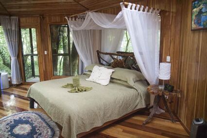 Hidden Canopy Treehouses Boutique Hotel