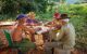 A group of elderly farmers playing dominoes in the country around Vinales, Cuba