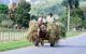 Scene of daily life in Vinales in Cuba