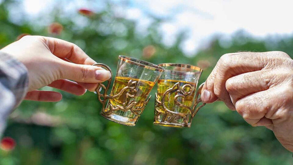 two small ornate glasses filled with rakija