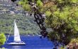 Vie through trees of a sailing boat in Dalmatian Islands